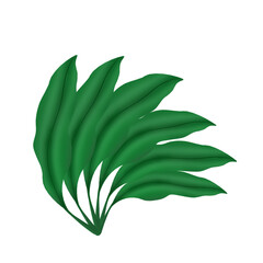 illustration set, icon set of green grass and leaves, banana leaves, shrubs, grape leaves, palm leaves, vines, ferns