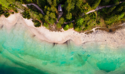 Top down aerial of trees on a white shore next to a clear tranquil turquoise mountain lake. Drone photography.