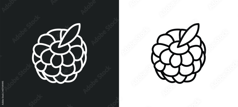 Poster raspberry line icon in white and black colors. raspberry flat vector icon from raspberry collection 