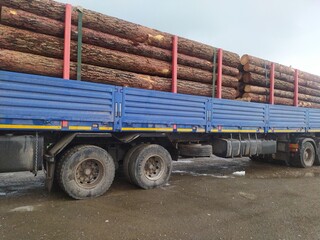 a large truck carries long logs