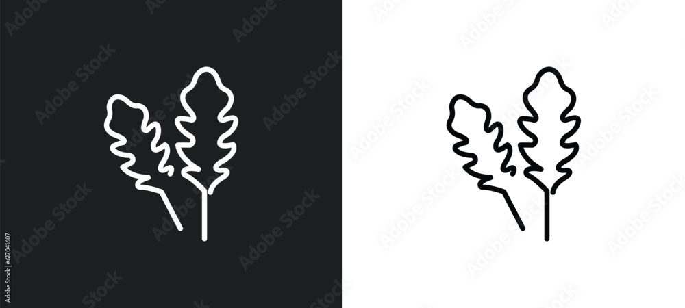 Poster arugula line icon in white and black colors. arugula flat vector icon from arugula collection for we