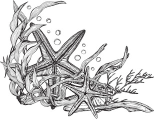 Marine composition of starfish, algae, bubbles. Black and white hand-drawn graphics translated into vector. The illustration is intended packaging, prints, stickers, posters, postcards © Marina