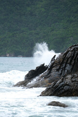 Rocks inside sea with horizon background. Sea foam near rocks with sea and forest background. 