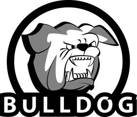 bulldog head animal dog cartoon character vector badge shield logo