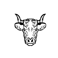 Cows head. Hand drawn sketch in a graphic style. Vintage hipster vector illustration