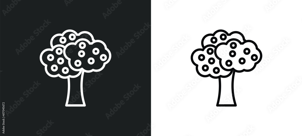 Poster fruit tree line icon in white and black colors. fruit tree flat vector icon from fruit tree collecti