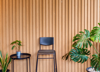 Houseplant and black chair on solid wooden battens wall