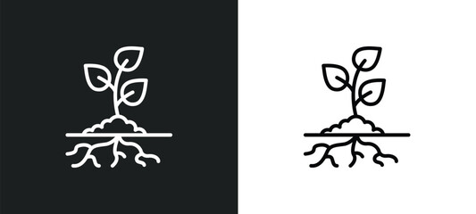plant and root line icon in white and black colors. plant and root flat vector icon from plant root collection for web, mobile apps ui.
