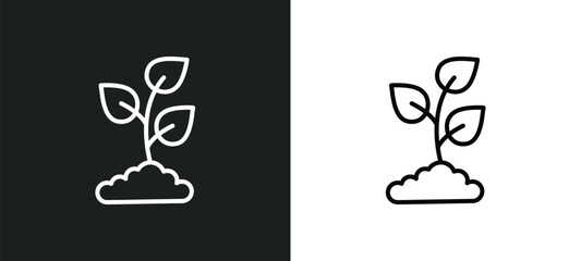 plant a tree line icon in white and black colors. plant a tree flat vector icon from plant a tree collection for web, mobile apps and ui.