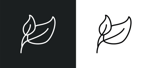 two leaves line icon in white and black colors. two leaves flat vector icon from two leaves collection for web, mobile apps and ui.