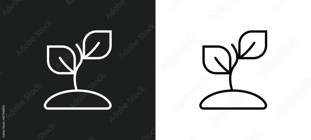 Poster sprout line icon in white and black colors. sprout flat vector icon from sprout collection for web, 