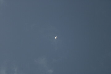 moon in the sky