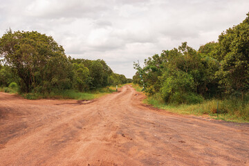 Scenic view of savannah grassland landscapes at Ol Pejeta Conservancy, Kenya