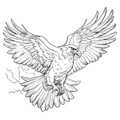 Bald eagle animal line art illustration. Black and white coloring page style art. Generative AI