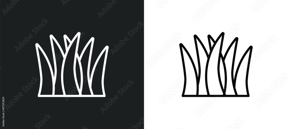 Poster grass line icon in white and black colors. grass flat vector icon from grass collection for web, mob