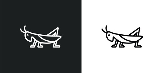 grasshopper line icon in white and black colors. grasshopper flat vector icon from grasshopper collection for web, mobile apps and ui.