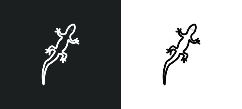 gecko line icon in white and black colors. gecko flat vector icon from gecko collection for web, mobile apps and ui.