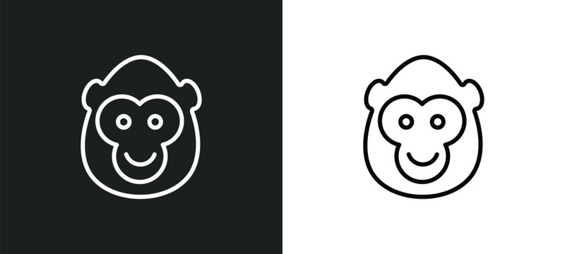 ape line icon in white and black colors. ape flat vector icon from ape collection for web, mobile apps and ui.