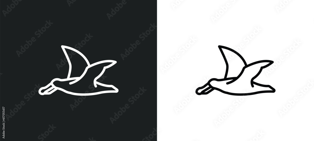 Poster albatross line icon in white and black colors. albatross flat vector icon from albatross collection 