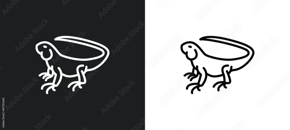 Poster iguana line icon in white and black colors. iguana flat vector icon from iguana collection for web, 