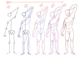 guide on how to draw a sketch of the human body standing on a white background