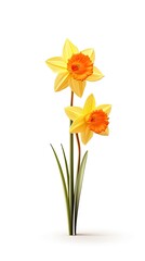Daffodil flower isolated on white background. Beautiful blooming plant. Generative AI