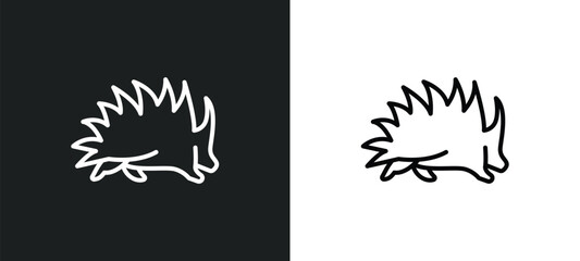 porcupine line icon in white and black colors. porcupine flat vector icon from porcupine collection for web, mobile apps and ui.