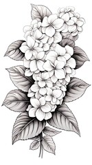 Cute Hydrangea flower in coloring page style illustration. Line art painting. Generative AI