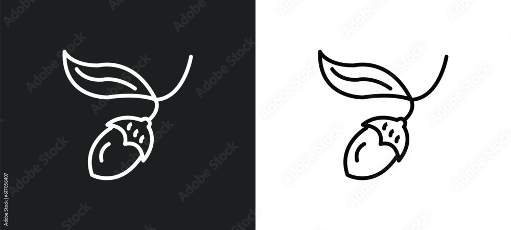 Poster chestnut oak tree line icon in white and black colors. chestnut oak tree flat vector icon from chest