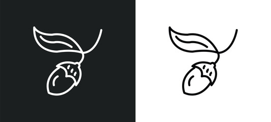 chestnut oak tree line icon in white and black colors. chestnut oak tree flat vector icon from chestnut oak tree collection for web, mobile apps and ui.