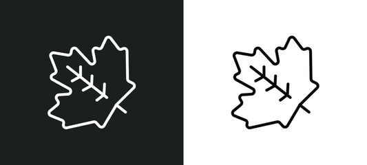 sugar maple tree line icon in white and black colors. sugar maple tree flat vector icon from sugar maple tree collection for web, mobile apps and ui.