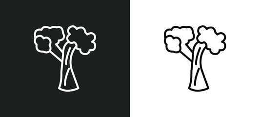 silver maple tree line icon in white and black colors. silver maple tree flat vector icon from silver maple tree collection for web, mobile apps and ui.