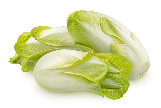Fresh endive, green chicory salad isolated on white background
