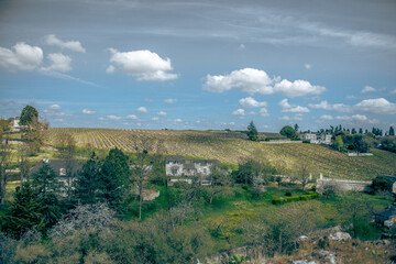 Fototapeta na wymiar view of the countryside with vineyards