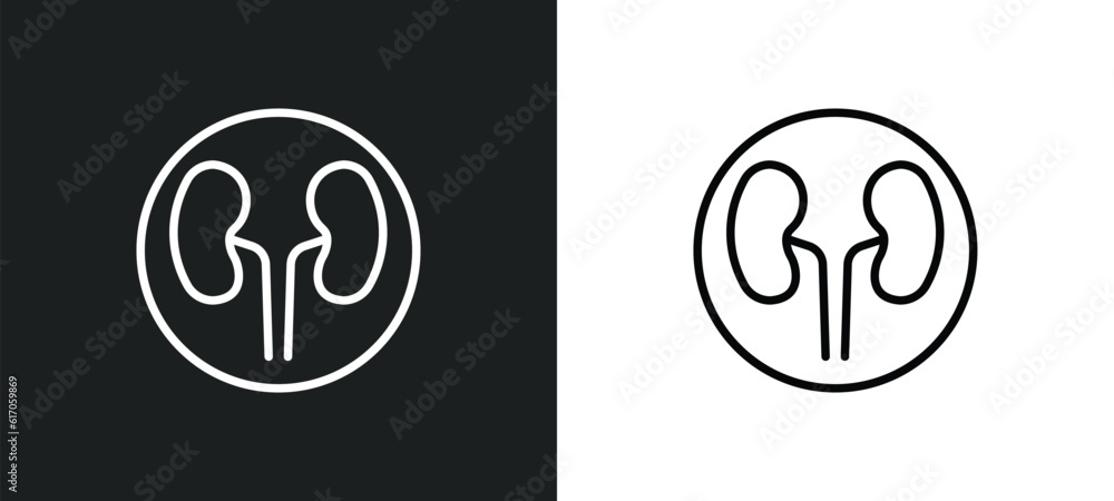 Poster dialysis line icon in white and black colors. dialysis flat vector icon from dialysis collection for