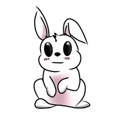Rabbit so cute