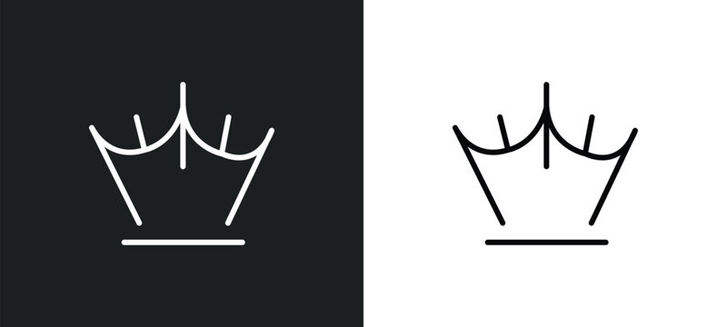 reign line icon in white and black colors. reign flat vector icon from reign collection for web, mobile apps and ui.