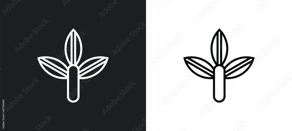 Poster bael tree line icon in white and black colors. bael tree flat vector icon from bael tree collection 
