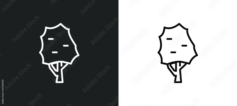 Poster the maples tree line icon in white and black colors. the maples tree flat vector icon from the maple