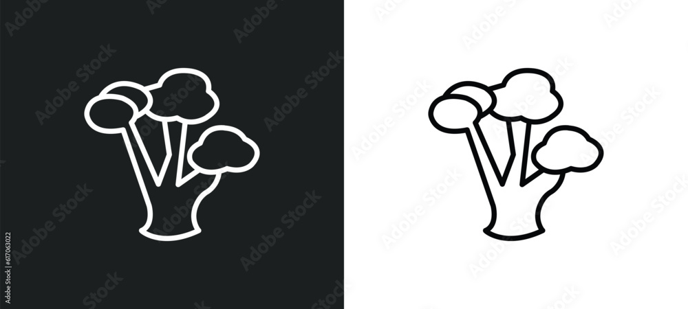 Poster gray birch tree line icon in white and black colors. gray birch tree flat vector icon from gray birc