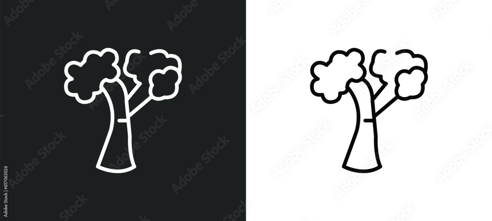 Poster american beech tree line icon in white and black colors. american beech tree flat vector icon from a