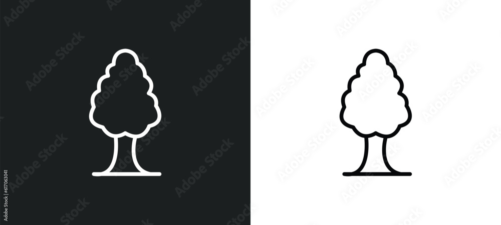 Poster white ash tree line icon in white and black colors. white ash tree flat vector icon from ash tree co