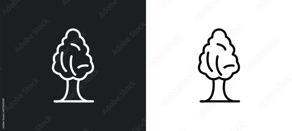 Aufkleber black ash tree line icon in white and black colors. black ash tree flat vector icon from ash tree co