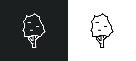 the maples tree line icon in white and black colors. the maples tree flat vector icon from the maples tree collection for web, mobile apps and ui.