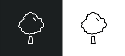 basswood tree line icon in white and black colors. basswood tree flat vector icon from basswood tree collection for web, mobile apps and ui.