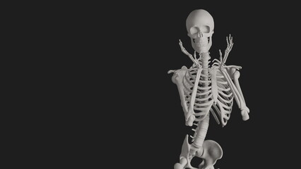 skeleton posing 3d render with black background
