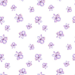 Watercolor botanical illustration. Seamless pattern of lavender buds. Fragrant field herb. Ditsy purple ornament. Hand drawn small flowers on a white background.For wrapping paper, fabrics, clothing