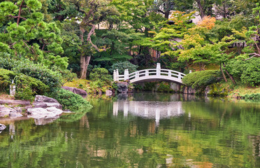 Kyu-yasuda garden, a small japanese stroll garden located in Ryogoku. Tokyo. Japan