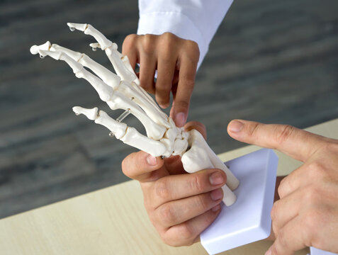 Closeup doctor in white gown pointing at human hand and wrist skeleton model. Two orthopedic surgeon discuss about treatment for a patient's broken wrist. Healthcare and medicine concept.