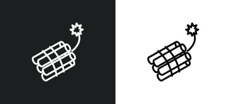 dynamite line icon in white and black colors. dynamite flat vector icon from dynamite collection for web, mobile apps and ui.